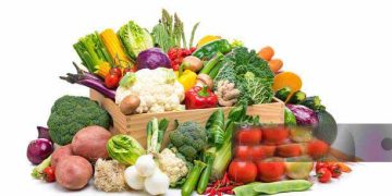 Healthy food: fresh organic vegetables in a crate isolated on white background. Vegetables included in the composition are kale, tomatoes, squash, asparagus, celery, broccoli, eggplant, onion, lettuce, carrots, corn, potatoes, ginger root, Bok Choy, cauliflower, bell pepper, edible mushrooms, radish, among others. High resolution 48,2Mp studio digital capture taken with Sony A7rII and Sony FE 90mm f2.8 macro G OSS lens